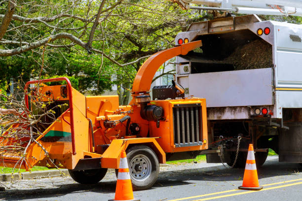 Best Utility Line Clearance  in North Lauderdale, FL